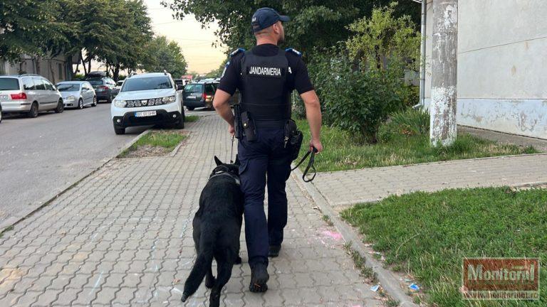 Bărbat sancționat de jandarmi din cauza câinelui