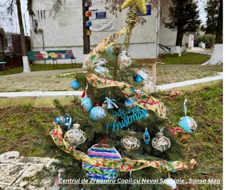 Copiii au pus bazele unei „Păduri de Crăciun” la Botoșani