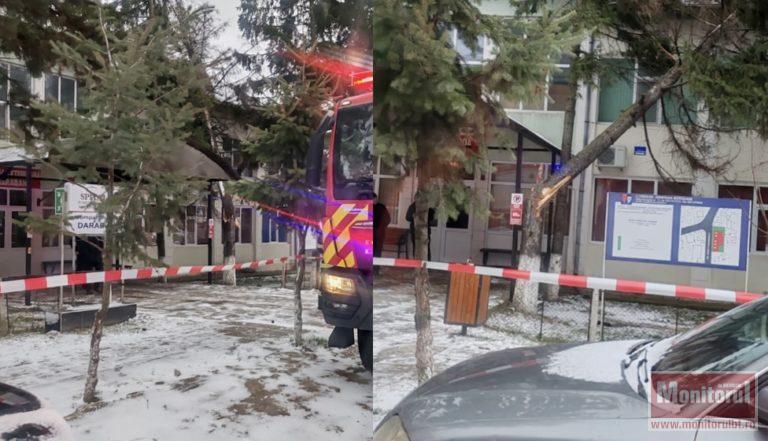 ALERTĂ la Spitalul Județean! Un copac s-a prăbușit peste o secție exterioară