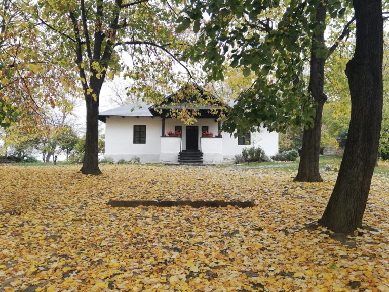 Înscrieri deschise la atelierele de scriere creativă din cadrul „Zilelor Eminescu”. Adolescenții pot lucra cu Adina Popescu și Iulian Manuel Ghervas