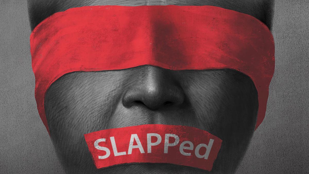 Alertă europeană de hărțuire în justiție pentru jurnalista Brîndușa Armanca și PRESSHUB