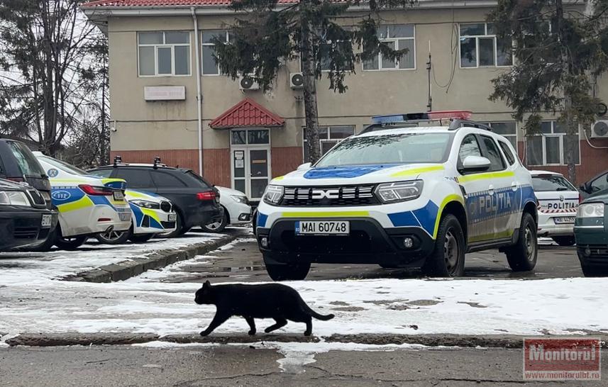 Poliţişti rutieri scoşi în stradă de ploaie. „Oamenii se tem că pot fi electrocutați la locul de muncă”