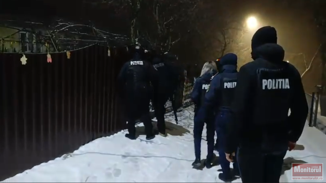 Furt de lemne în nordul județului. Percheziţii cu mascaţii la domiciliile suspecţilor (VIDEO)