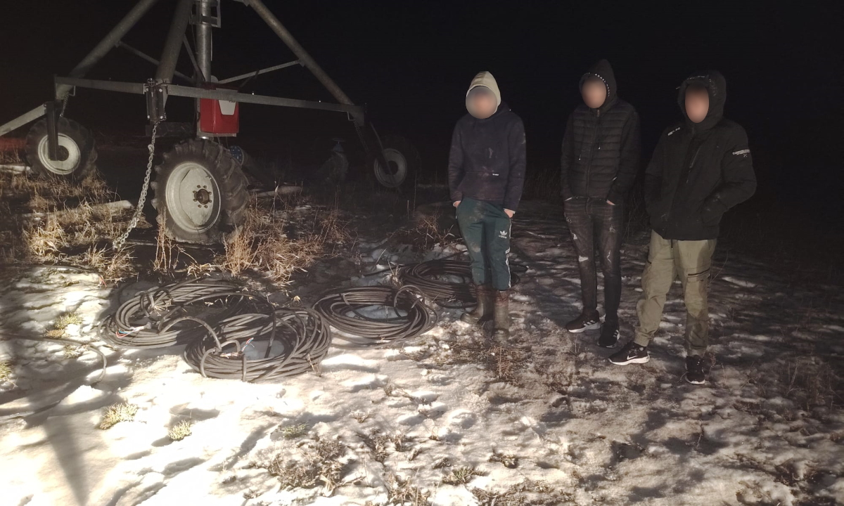 Hoți de cabluri, prinși cu termoviziunea la Ripiceni. Trei tineri au distrus un sistem de irigații în creierii nopții