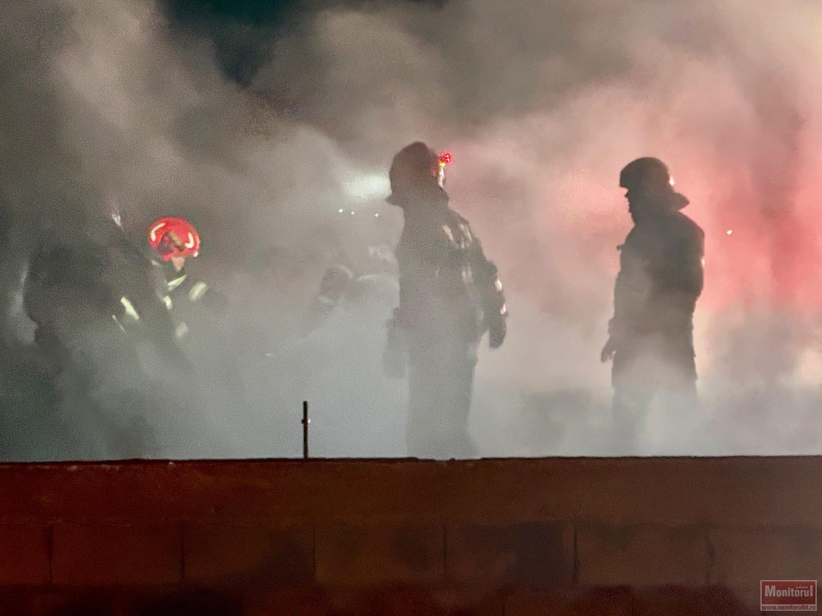 Zeci de animale în pericol după un incendiu violent (VIDEO)