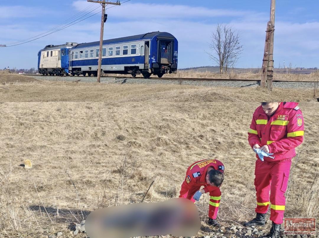 Moarte cumplită pe câmp: cioban lovit în plin de tren (VIDEO)