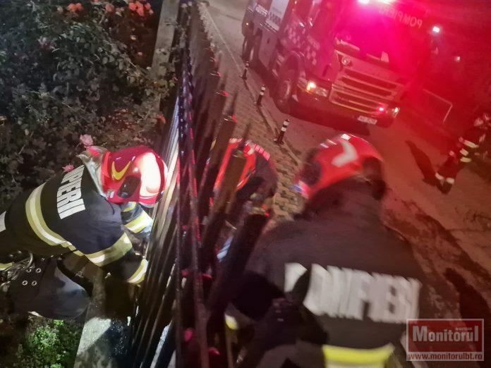 Controale la lemnarii din zona Dornei: 82 de sancțiuni, peste 74.000 de lei amenzi și 20,9 metri cubi de lemn confiscat